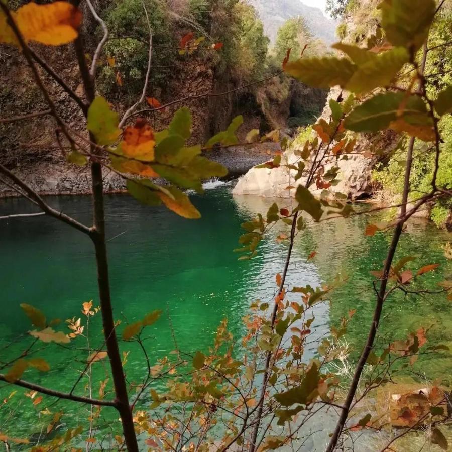 Вилла Refugio Del Salto -Radal 7 Tazas Молина Экстерьер фото