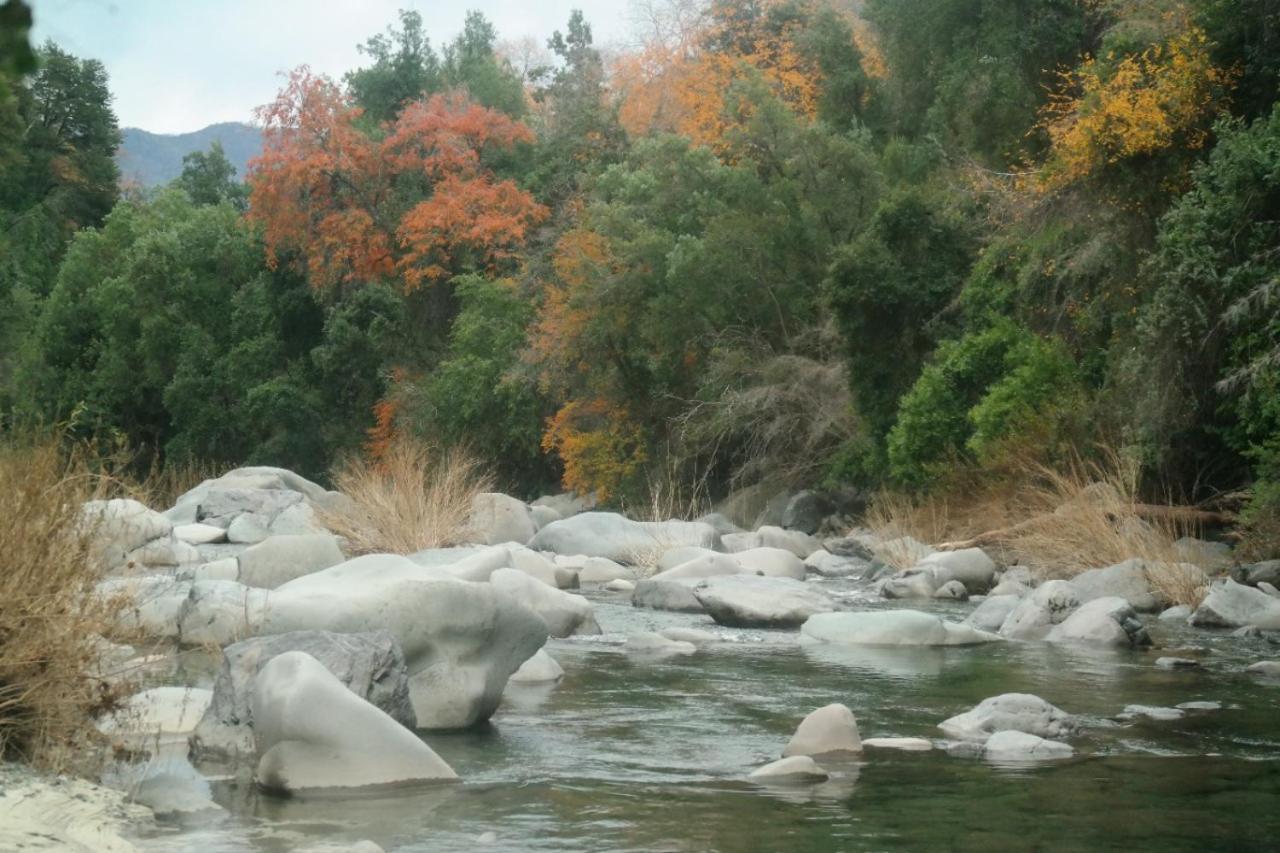 Вилла Refugio Del Salto -Radal 7 Tazas Молина Экстерьер фото